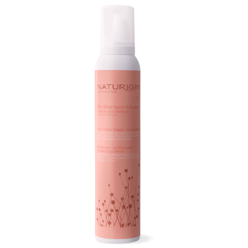NATURIGIN-DRY-SHAMPOO-MOUSSE-RESTYLE-AND-REFRESH-WEB-1500x1500px.png